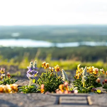In Lapland - Sointuilevi B63 Levi